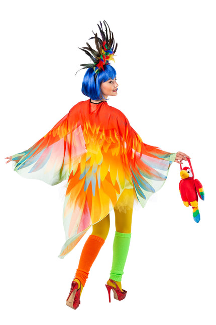 Papukaija Cape värillinen