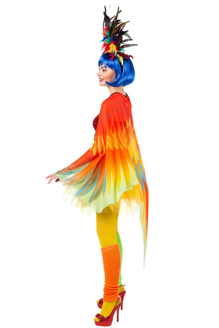 Papukaija Cape värillinen