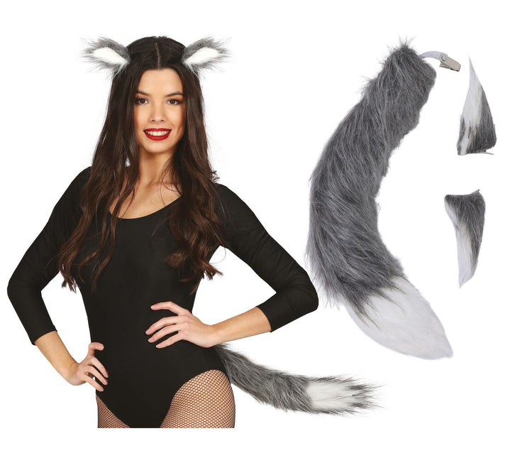 Tarvikesarja Fox 2 kpl