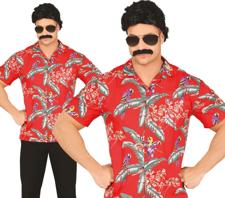 Hawaii pusero papukaijat