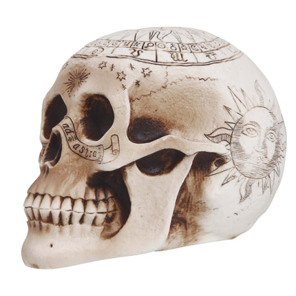 Halloween pöydän koriste Kallo 20cm