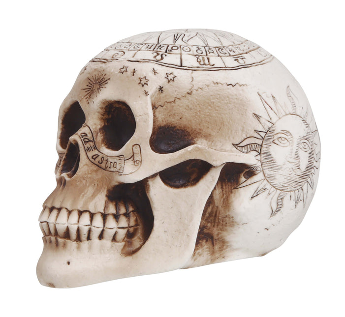 Halloween pöydän koriste Kallo 20cm