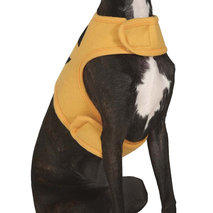 Halloween eläimet puku kurpitsa maskotti