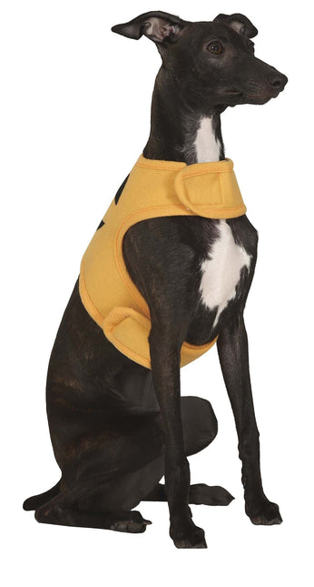 Halloween eläimet puku kurpitsa maskotti