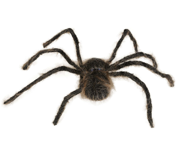 Ruskea tekohämähäkki 75cm