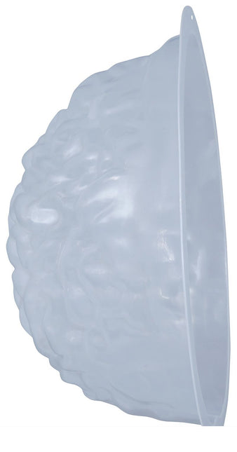 Halloween-muotti Aivot gelatiinille 22cm