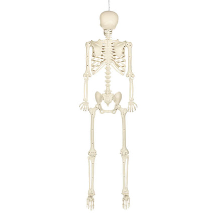 Ripustettava koriste: Skelet skinny (160 cm)