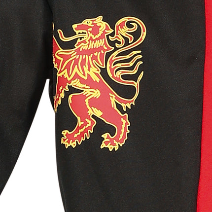 Ritari puku poika keskiajalla