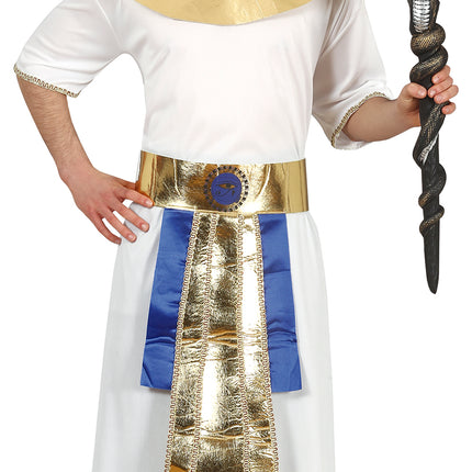 Faraon puku 14/16 vuotta