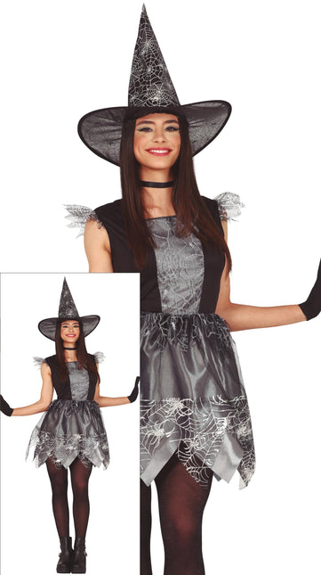 Noita Halloween puku Ladies Silver
