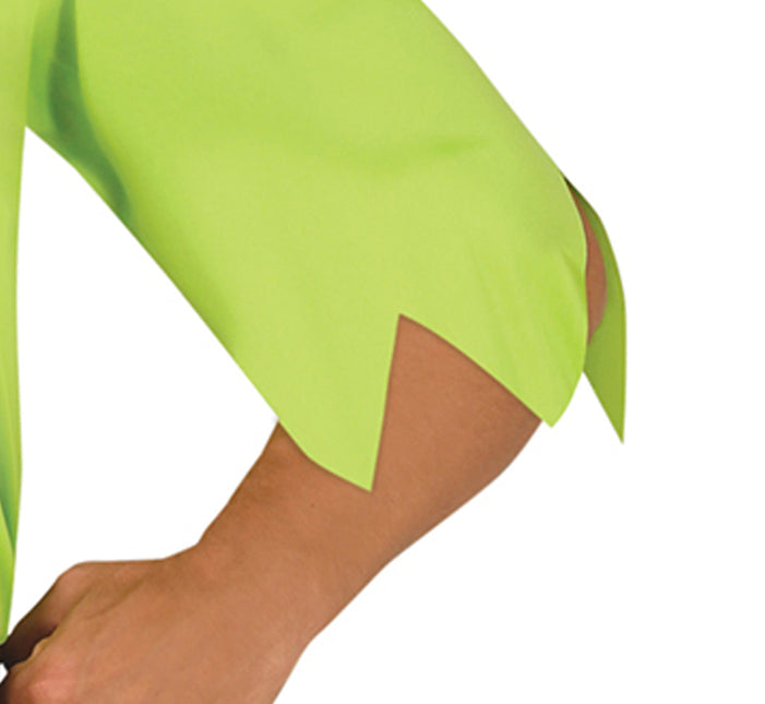 Robin Hood puku miehet