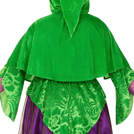 Noita Mekko Violetti Vihreä Ladies Leg Avenue
