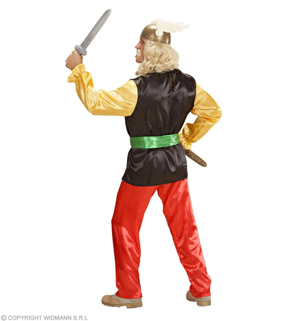 Asterix Kostuum Heren van Widmann koop je bij Partywinkel