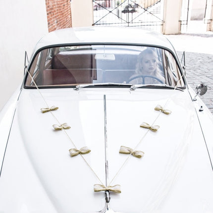 Auto Decoratie Set Bruiloft Strikjes van Partydeco koop je bij Partywinkel