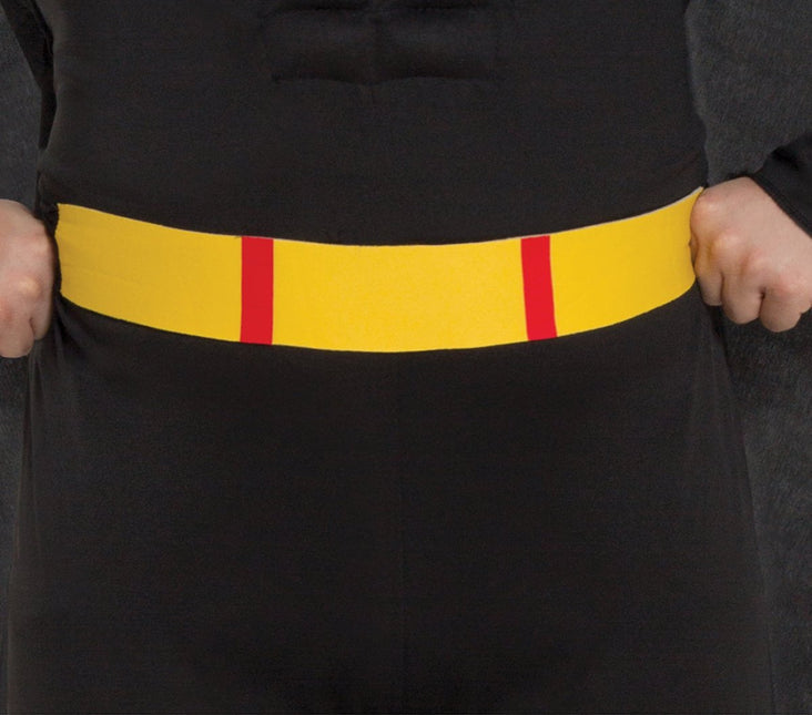 Batman Pak Heren van Fiestas Guirca koop je bij Partywinkel