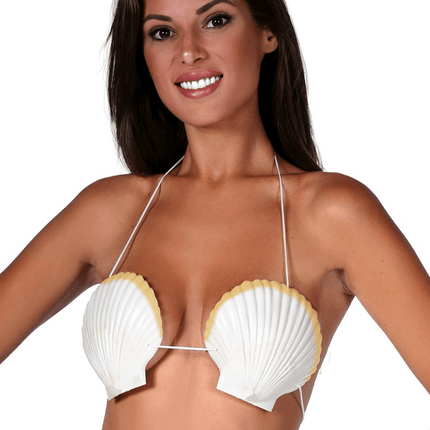 Beha Zeeschelpen van Fiestas Guirca koop je bij Partywinkel