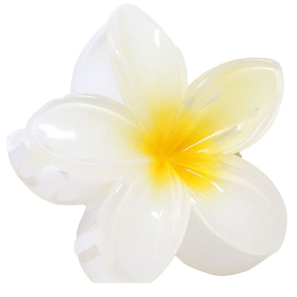 Bloem Haarclip Wit van Fiestas Guirca koop je bij Partywinkel