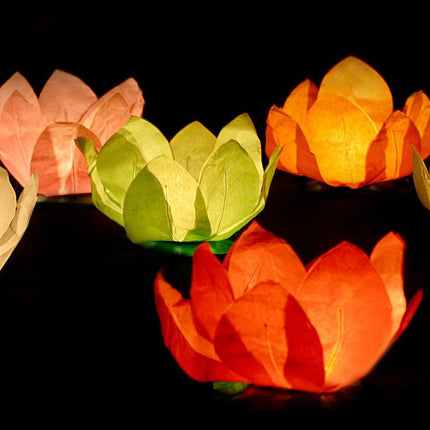 Drijvende Lantaarns Gekleurd 29cm 1st van Partydeco koop je bij Partywinkel