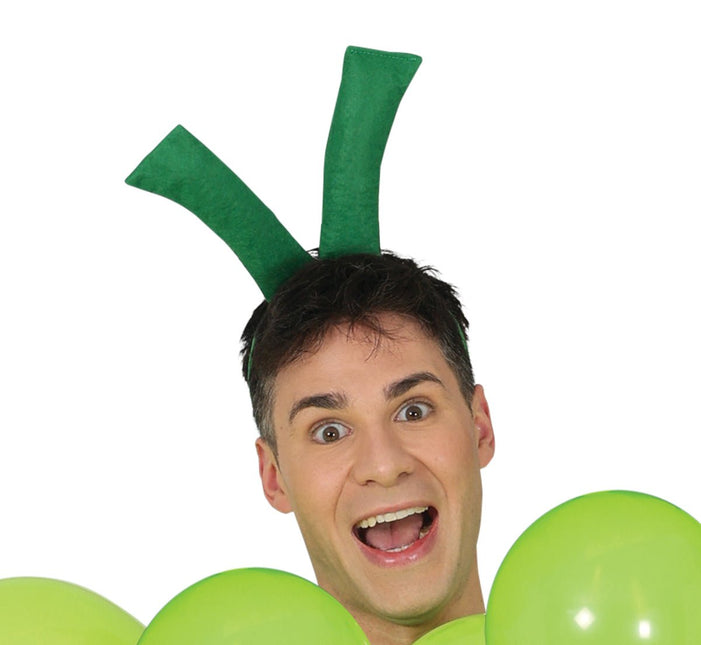 Druiven Kostuum van Fiestas Guirca koop je bij Partywinkel