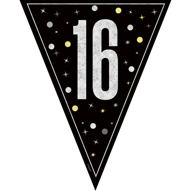 16 vuotta Lippu 2.74m