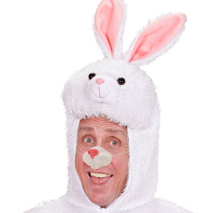 Kani väärennetty nenä