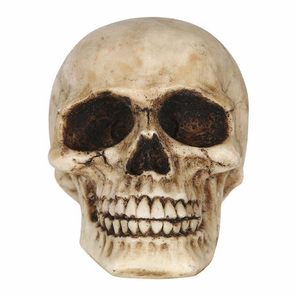 Halloween pöydän koriste Kallo 8cm