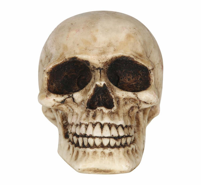 Halloween pöydän koriste Kallo 8cm