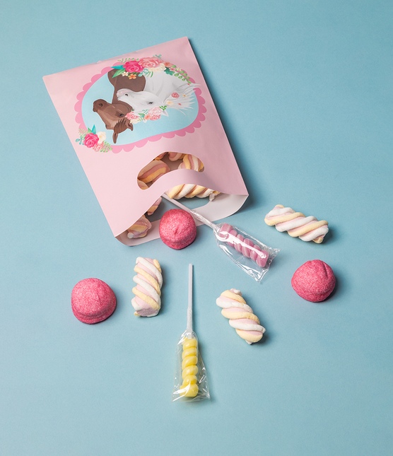 Hevosen jakopussit 6kpl