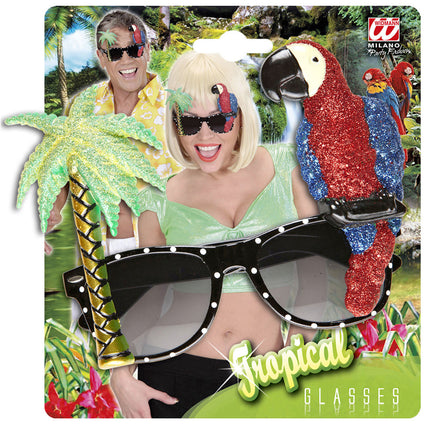 Havaiji lasit värilliset