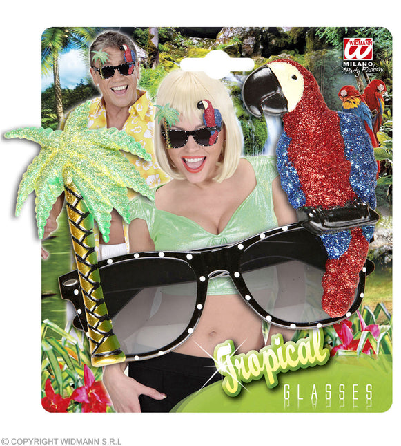 Havaiji lasit värilliset