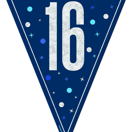 16 vuotta Garland sininen 2.5m