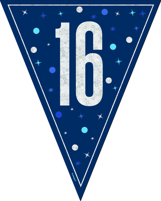 16 vuotta Garland sininen 2.5m