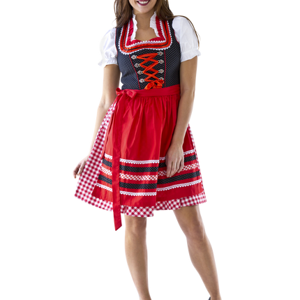 Punainen Valkoinen Dirndl Mekko Oktoberfest Hyvät ruudullinen