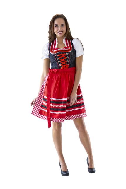 Punainen Valkoinen Dirndl Mekko Oktoberfest Hyvät ruudullinen