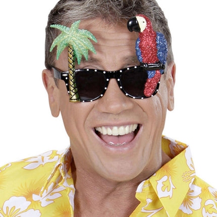 Havaiji lasit värilliset