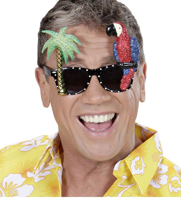 Havaiji lasit värilliset