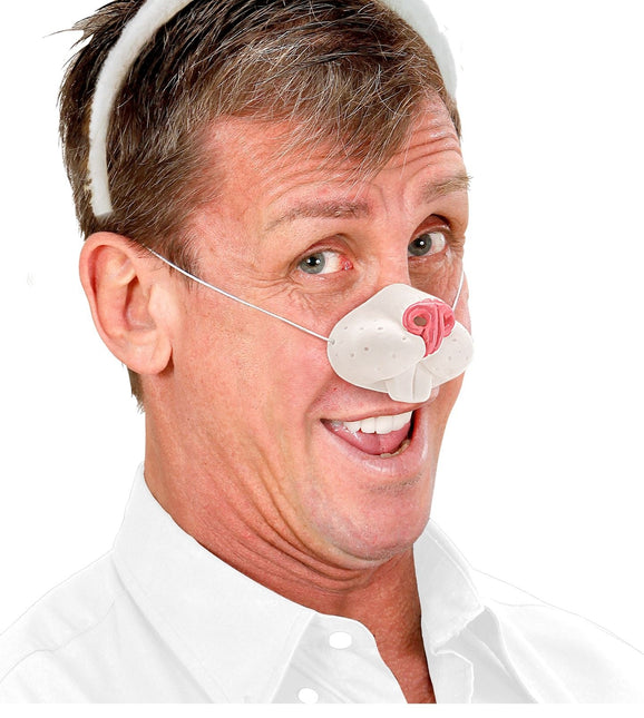 Kani väärennetty nenä