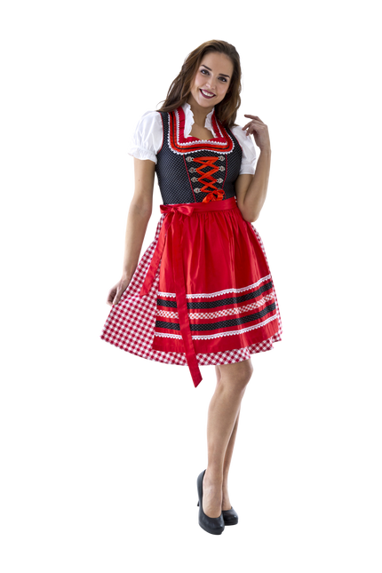Punainen Valkoinen Dirndl Mekko Oktoberfest Hyvät ruudullinen