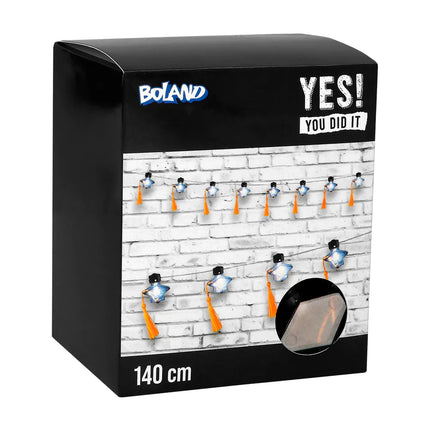 Valokimppu LED Onnistunut 1.4m