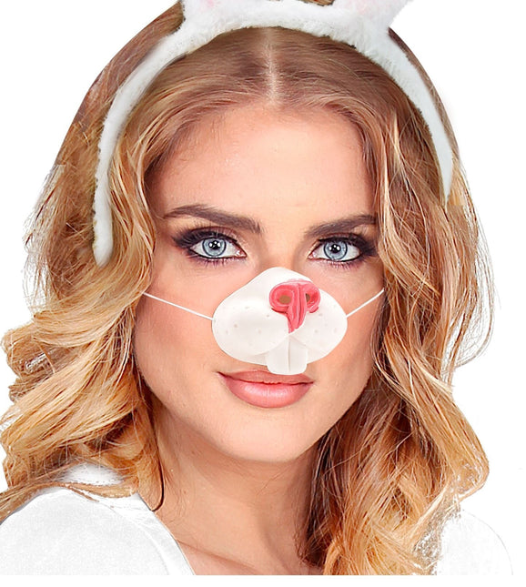 Kani väärennetty nenä