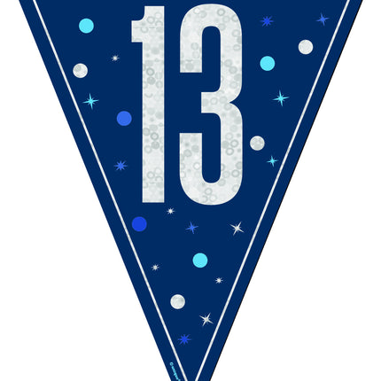 13 vuotta Garland sininen 2.5m