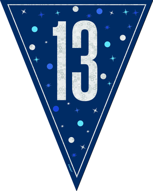 13 vuotta Garland sininen 2.5m