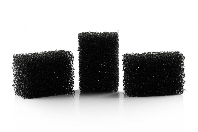 Musta sieni Dot 5kpl