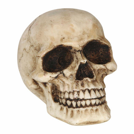 Halloween pöydän koriste Kallo 8cm