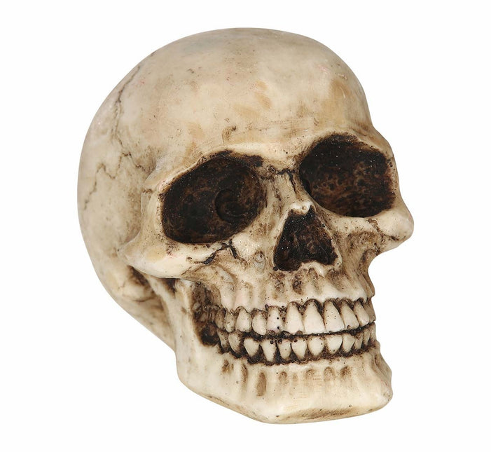 Halloween pöydän koriste Kallo 8cm