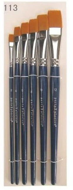 PXP Harjat Set In Case 6kpl