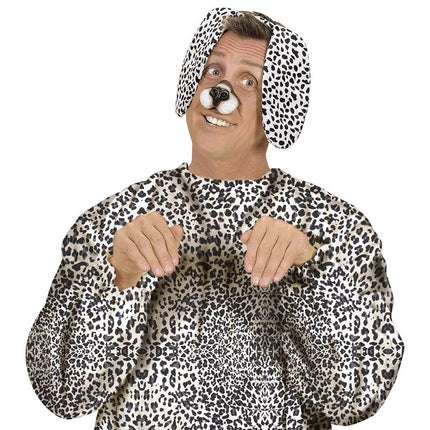 Dalmatialainen hiuspanta