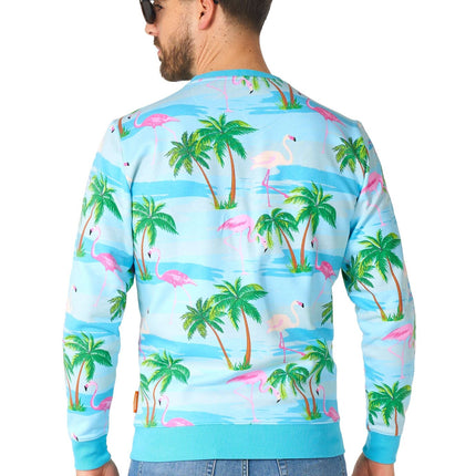 Hawaii Flamingo pusero Miesten OppoSuits