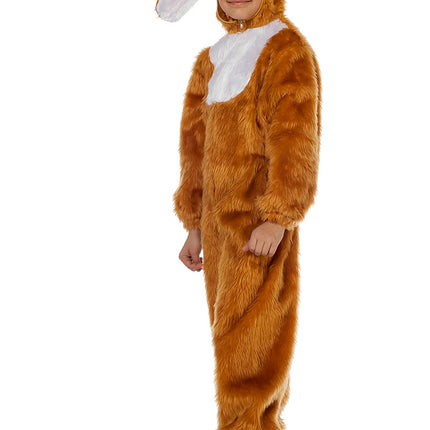 Jäniksen puku lapsi