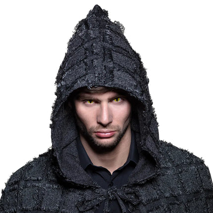 Keltainen väri linssit kissa